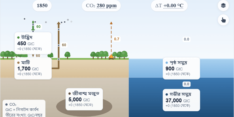 কার্বন চক্র ও গ্রিনহাউস প্রভাব