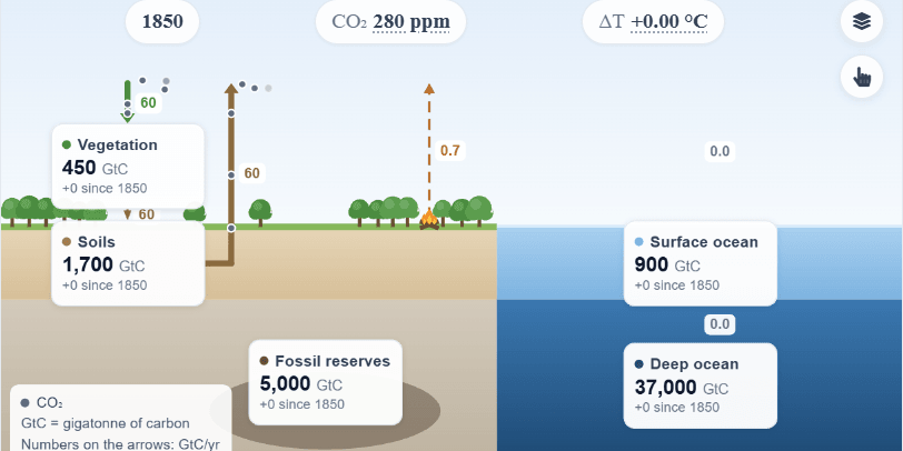Carbon Cycle and Greenhouse Effect